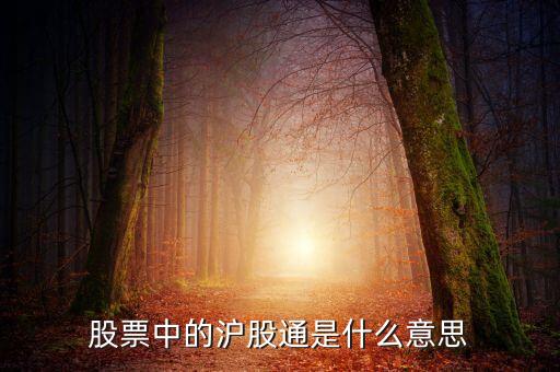 股票中的滬股通是什么意思