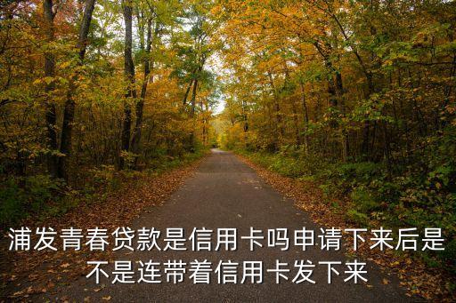 浦發(fā)青春貸95貸是什么，支付寶上的浦發(fā)銀行借錢95貸 申請那個會不會打電話核實啊