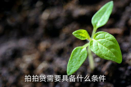 申請(qǐng)拍拍貸有什么條件，拍拍貸年齡要求