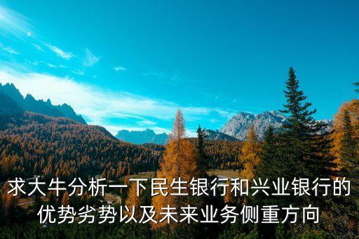 求大牛分析一下民生銀行和興業(yè)銀行的優(yōu)勢(shì)劣勢(shì)以及未來(lái)業(yè)務(wù)側(cè)重方向