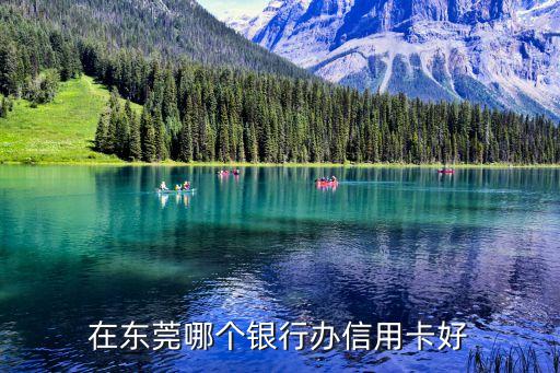 在東莞哪個(gè)銀行辦信用卡好