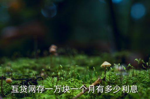 互貸網(wǎng)存一萬塊一個月有多少利息