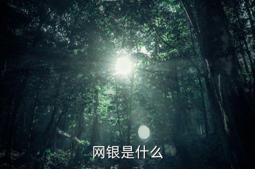 網銀是什么