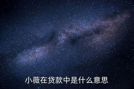 銀行小微貸是什么意思，小薇在貸款中是什么意思
