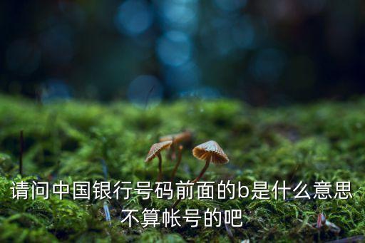 請問中國銀行號(hào)碼前面的b是什么意思不算帳號(hào)的吧