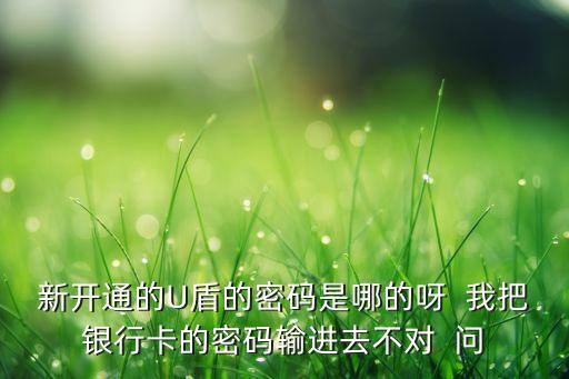 新開通的U盾的密碼是哪的呀  我把銀行卡的密碼輸進去不對  問
