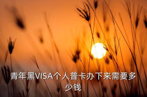 辦理黑卡要什么費(fèi)用，青年黑VISA個(gè)人普卡辦下來(lái)需要多少錢