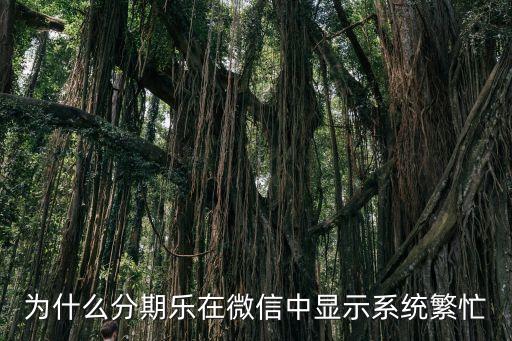 為什么分期付款就系統(tǒng)繁忙，為什么分期樂在微信中顯示系統(tǒng)繁忙