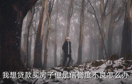 我想貸款買房子但是信譽度不良怎么辦