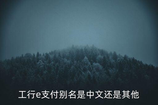 工行e支付別名是中文還是其他