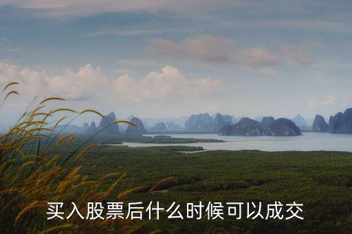 買入股票后什么時候可以成交