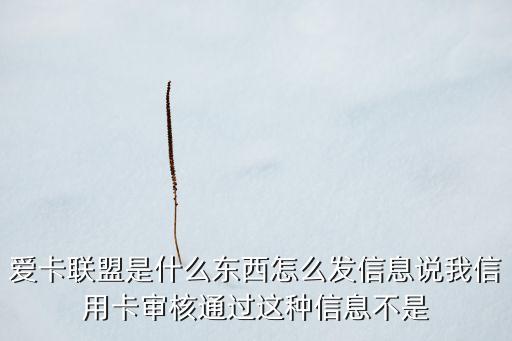 愛(ài)卡聯(lián)盟是什么東西怎么發(fā)信息說(shuō)我信用卡審核通過(guò)這種信息不是
