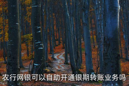 農(nóng)行開通銀期需要什么資料，農(nóng)行開通網(wǎng)銀需要什么