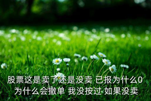 股票這是賣了還是沒賣 已報(bào)為什么0 為什么會(huì)撤單 我沒按過 如果沒賣