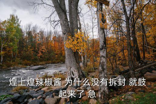 煌上煌辣椒醬 為什么沒(méi)有拆封 就鼓起來(lái)了 急