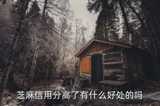 芝麻信用分高了有什么好處的嗎