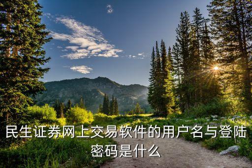 民生證券網(wǎng)上交易軟件的用戶名與登陸密碼是什么