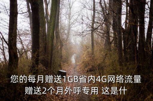您的每月贈送1GB省內(nèi)4G網(wǎng)絡(luò)流量贈送2個月外呼專用 這是什