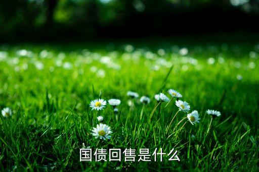 國庫券是什么，國庫卷是做什么用的