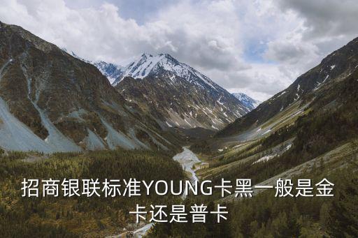 招商銀聯(lián)標(biāo)準(zhǔn)YOUNG卡黑一般是金卡還是普卡