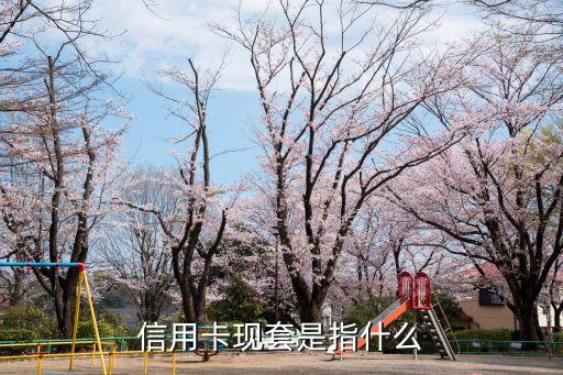 套現(xiàn)卡是什么，套現(xiàn)是什么意思