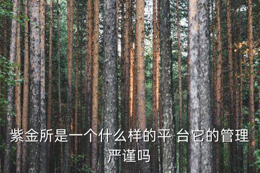 紫金所是做什么的平臺，既然大家都在說紫金所如何如何好那么紫金所到底是什么