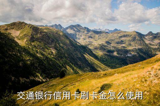 分期刷卡金怎么使用，弱弱的問(wèn)下刷卡金怎么用