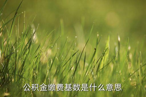 公積金繳費(fèi)基數(shù)是什么意思