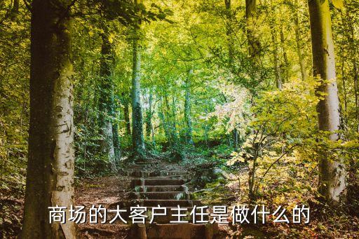 什么是客戶主管，客戶主任是干什么的啊