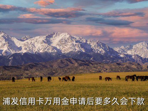 浦發(fā)信用卡萬用金申請后要多久會下款