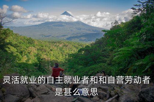 靈活就業(yè)的自主就業(yè)者和和自營勞動者是甚么意思