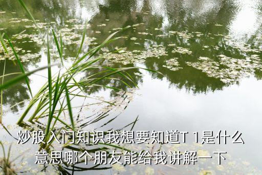 炒股入門知識(shí)我想要知道T 1是什么意思哪個(gè)朋友能給我講解一下