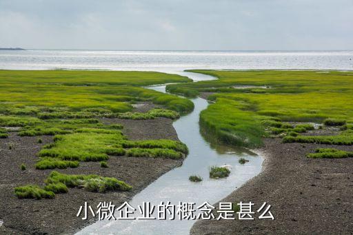 什么是小微企業(yè)，小微企業(yè)是什么