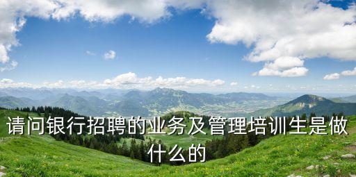 請問銀行招聘的業(yè)務(wù)及管理培訓(xùn)生是做什么的