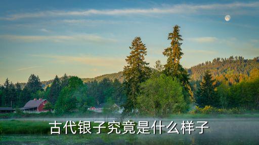 官銀是什么樣的，古代銀子究竟是什么樣子