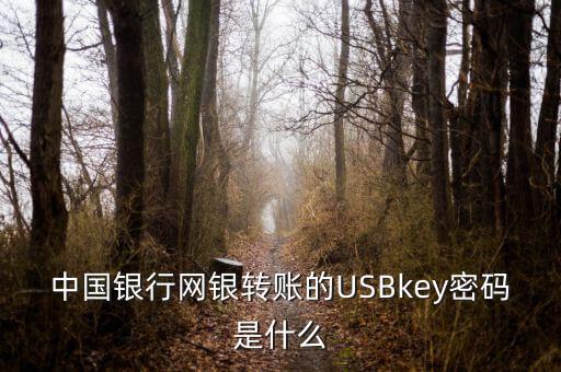 中國銀行網(wǎng)銀轉(zhuǎn)賬的USBkey密碼是什么