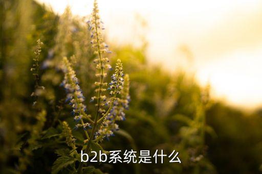 b2b是什么意思，b2b系統(tǒng)是什么