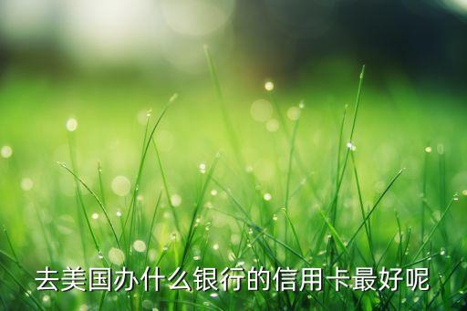 在美國刷什么信用卡好，去美國辦什么銀行的信用卡最好呢