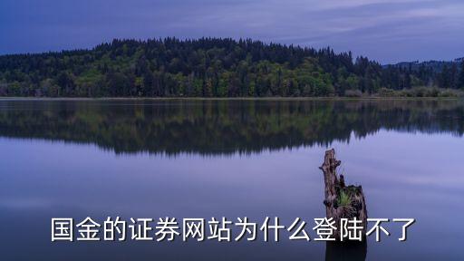 易通貸為什么登錄不了，為什么我的易貸網(wǎng)ID登陸不上去了每次登陸都是失敗讓我重新登