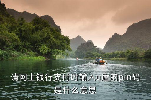 請網(wǎng)上銀行支付時輸入u盾的pin碼是什么意思