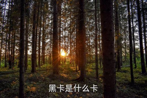 黑卡是什么卡