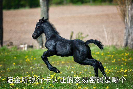 陸金所銀行卡認(rèn)證的交易密碼是哪個