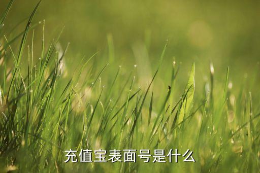 充值寶表面號是什么意思，16位充值寶表面號是什么我用微信充了300元在ETC上就是圈存
