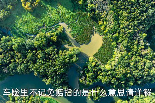 車險(xiǎn)不計(jì)免賠險(xiǎn)是什么意思，車險(xiǎn)里不記免賠指的是什么意思請(qǐng)?jiān)斀?/></a></span><span id=