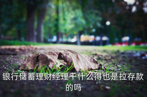 儲(chǔ)蓄經(jīng)理做什么，郵政儲(chǔ)蓄的理財(cái)經(jīng)理是做什么的具體點(diǎn)說(shuō)