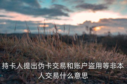持卡人提出偽卡交易和賬戶盜用等非本人交易什么意思