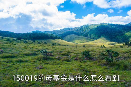 北京嘉禾銀華銷售什么，150019的母基金是什么怎么看到
