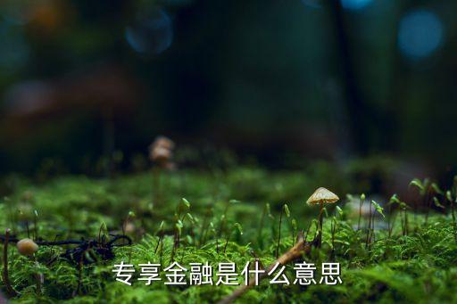 什么是金融專享業(yè)務(wù)，專享金融是什么意思