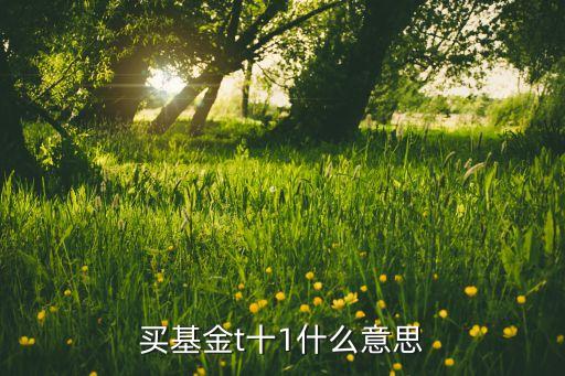 買基金t十1什么意思