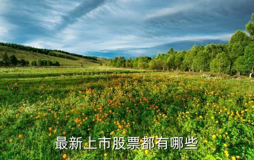 最新上市股票都有哪些